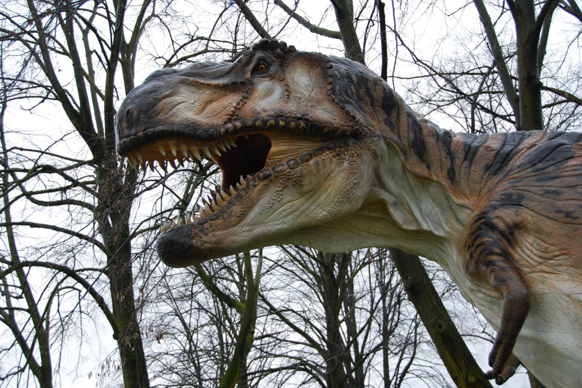 A fleshy model of a Tyrannosaurs Rex, mouth agape, looms large in front of trees.