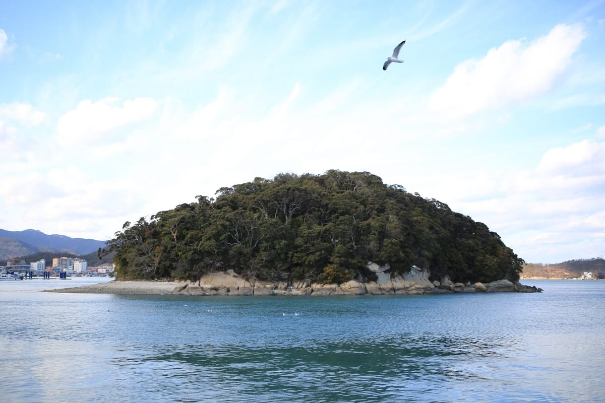 A forested island in the harbor of a seaside town in mountainous Korea with a seagull flying overhead