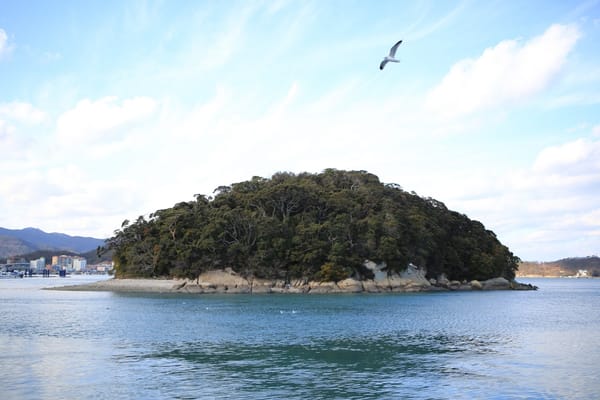 A forested island in the harbor of a seaside town in mountainous Korea with a seagull flying overhead
